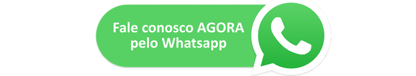 fale agora pelo whatsapp